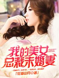 我的美女总裁未婚妻林天