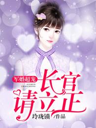 军婚超宠长官请立正