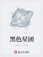 在暴雪时分TXT