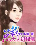 总裁大人我错了免费阅读