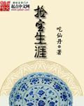 捡宝生涯txt八零电子书