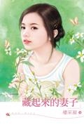 藏起来t