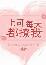 上司每天都撩我全文