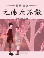 爱情公寓之伟大cp
