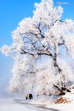 长相守番外