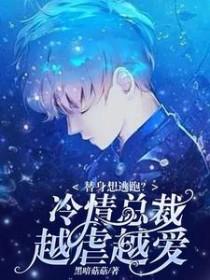 掌中雀在线阅读