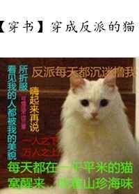 穿成反派的猫TXT