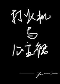 打火机与公主裙完整百度资源