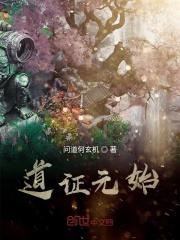 元始是我道侣