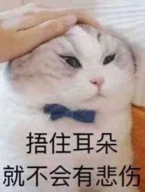 恶毒炮灰只想活着[穿书
