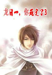 龙日一你死定了3终结版