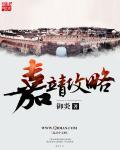 嘉靖什么水平