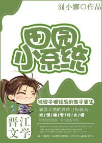 田园系统类