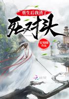 锦书雁回全文txt资源
