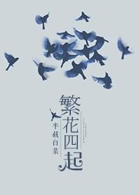 繁花四起 半截白菜讲的什么