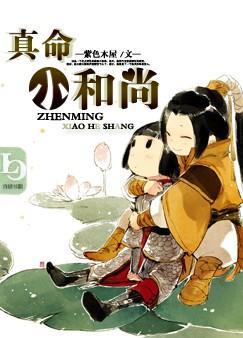 真命小和尚2