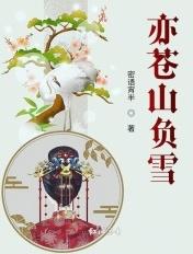 苍山负雪为寻你免费阅读
