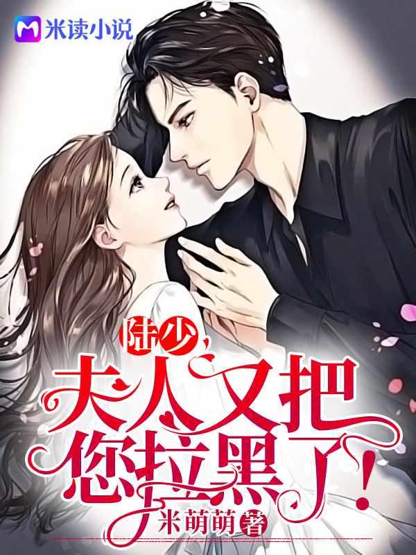 书名陆少
