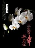 三生有幸遇见你图片