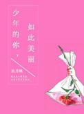 少年的你如此美丽全文免费阅读