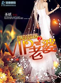 私婚密爱讲了什么