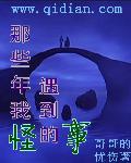 那些年我遇到的怪事600字