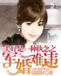 军婚撩人 作者姒锦