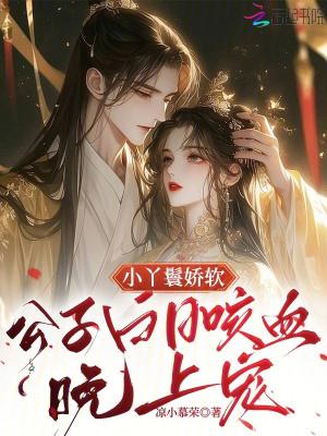 小丫鬟免费阅读
