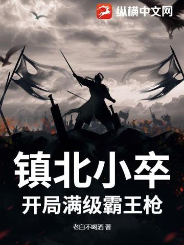 镇北王txt