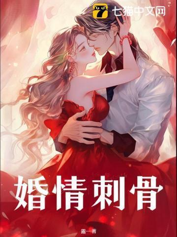 婚情似火免费阅读