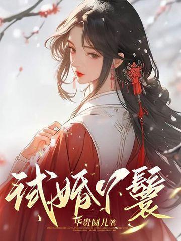 试婚丫鬟全文苏小小
