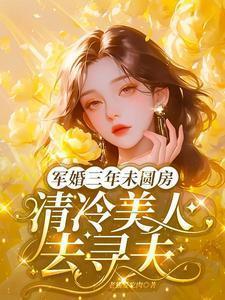 军婚三年未圆房清冷美人去寻夫免费阅读