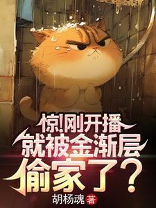 金渐层冷知识