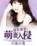 报告首长 萌妻入侵txt