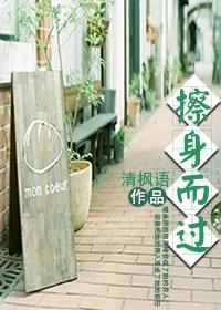 擦身而过晋江