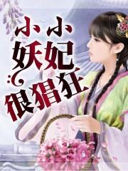 小小王妃
