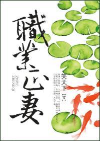 职业范是什么意思