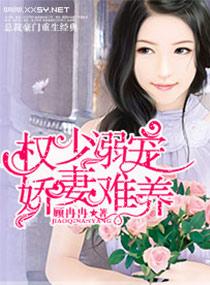 权少溺宠