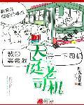 老司机私家车