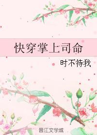 掌上娇 快穿