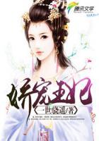 娇宠王妃少作怪