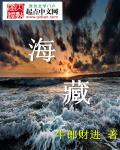 海藏番外完txt