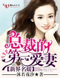 总裁的第一爱妻全文阅读