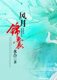 风月锦囊全本txt