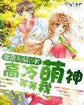 高冷男神等等我