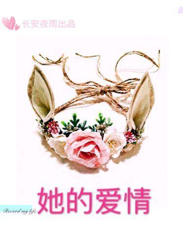 她的爱情超速免费阅读