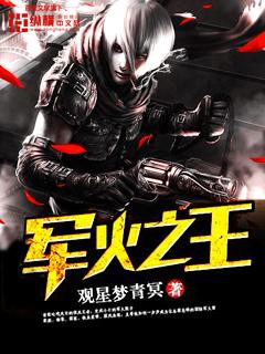 军火之王TXT