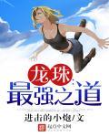 龙珠最强之道免费观看