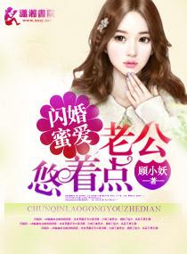 书名闪婚蜜爱老公超宠的