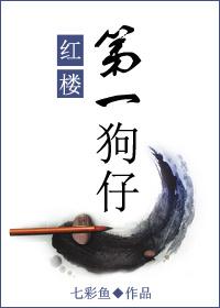 红楼第一狗仔txt全文免费阅读